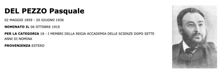 Webpage of the archives of the Italian Senate, with Del Pezzo's name in all caps